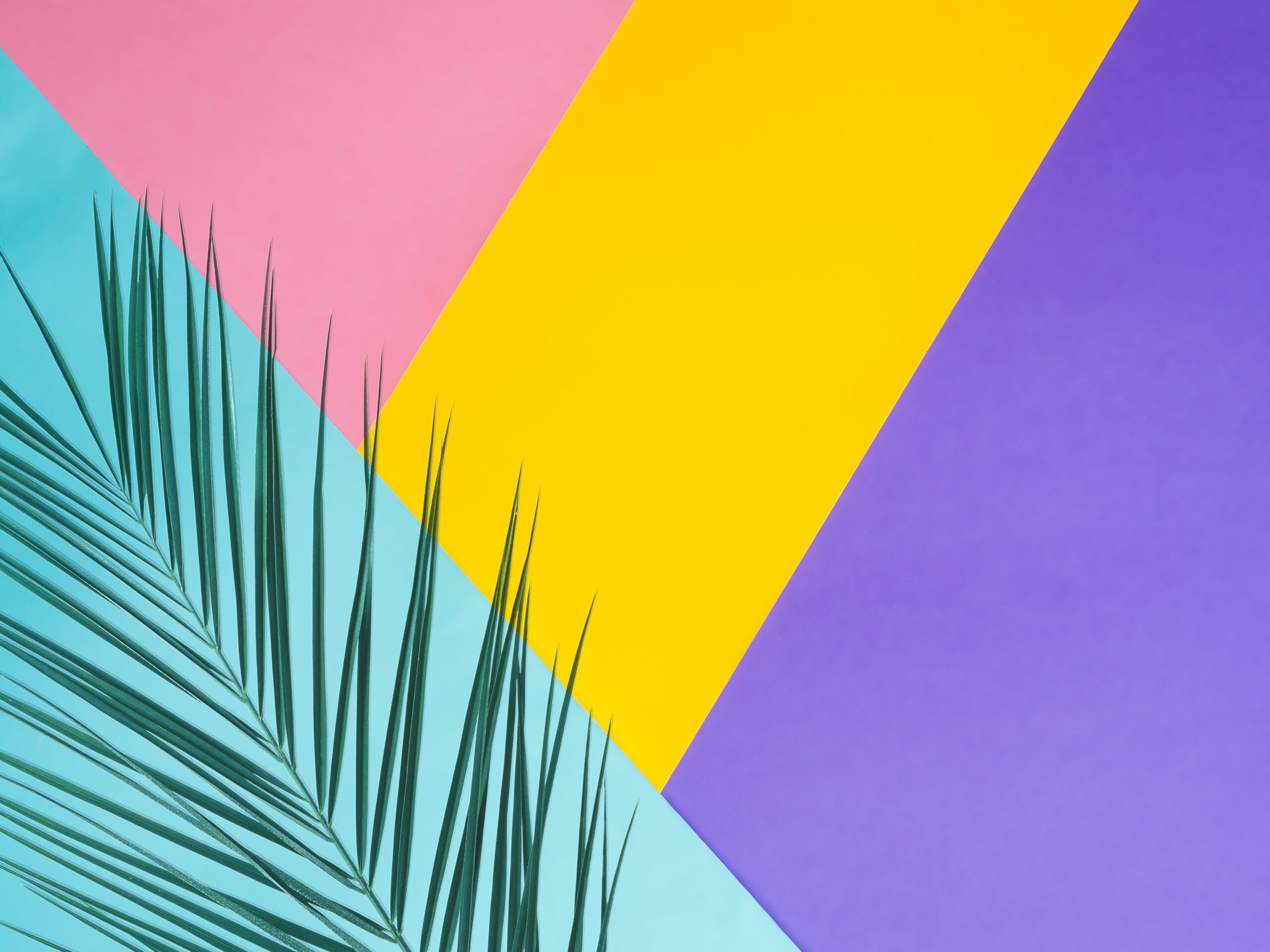 Canva: Marketing Graphic Design